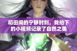 稻田间的宁静时刻，我拍下的小视频记录了自然之美