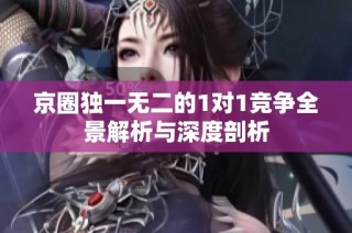 京圈独一无二的1对1竞争全景解析与深度剖析
