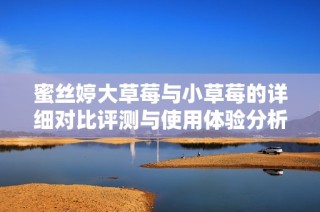 蜜丝婷大草莓与小草莓的详细对比评测与使用体验分析