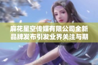 麻花星空传媒有限公司全新品牌发布引发业界关注与期待