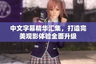 中文字幕精华汇集，打造完美观影体验全面升级