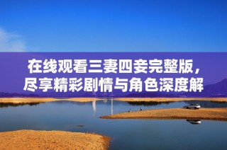在线观看三妻四妾完整版，尽享精彩剧情与角色深度解析