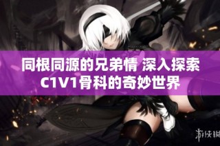 同根同源的兄弟情 深入探索C1V1骨科的奇妙世界