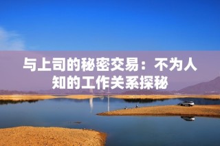 与上司的秘密交易：不为人知的工作关系探秘