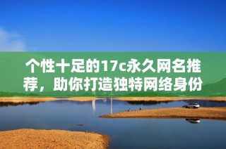 个性十足的17c永久网名推荐，助你打造独特网络身份
