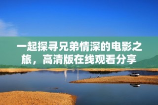 一起探寻兄弟情深的电影之旅，高清版在线观看分享
