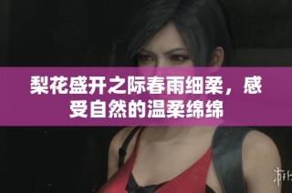 梨花盛开之际春雨细柔，感受自然的温柔绵绵