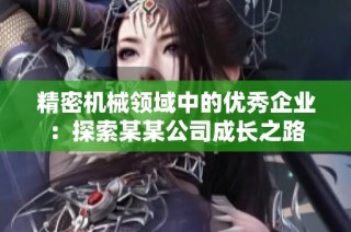 精密机械领域中的优秀企业：探索某某公司成长之路
