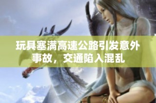 玩具塞满高速公路引发意外事故，交通陷入混乱