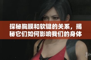 探秘胸膜和软键的关系，揭秘它们如何影响我们的身体健康