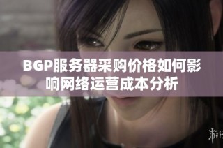 BGP服务器采购价格如何影响网络运营成本分析