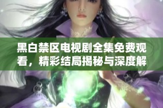 黑白禁区电视剧全集免费观看，精彩结局揭秘与深度解析