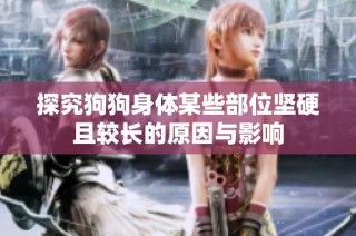探究狗狗身体某些部位坚硬且较长的原因与影响