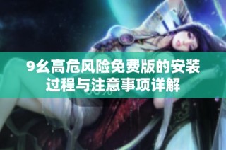 9幺高危风险免费版的安装过程与注意事项详解