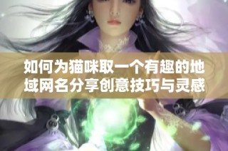 如何为猫咪取一个有趣的地域网名分享创意技巧与灵感秘诀