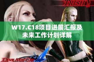 W17.C18项目进展汇报及未来工作计划详解