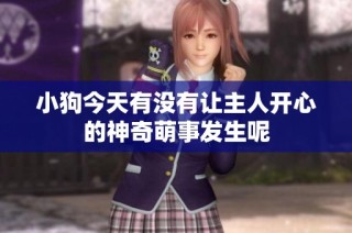 小狗今天有没有让主人开心的神奇萌事发生呢