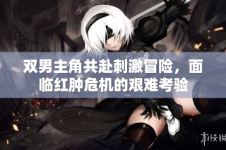 双男主角共赴刺激冒险，面临红肿危机的艰难考验