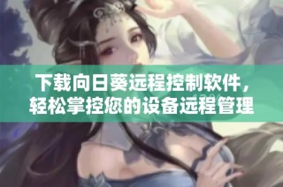 下载向日葵远程控制软件，轻松掌控您的设备远程管理体验