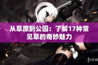 从草原到公园：了解17种常见草的奇妙魅力