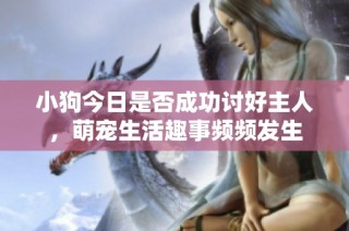 小狗今日是否成功讨好主人，萌宠生活趣事频频发生
