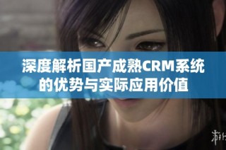 深度解析国产成熟CRM系统的优势与实际应用价值