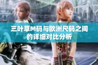 三叶草M码与欧洲尺码之间的详细对比分析
