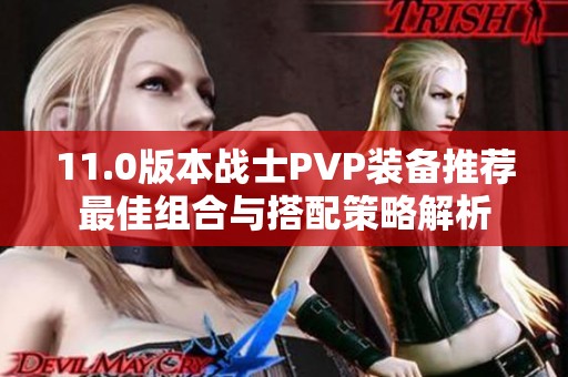 11.0版本战士PVP装备推荐最佳组合与搭配策略解析