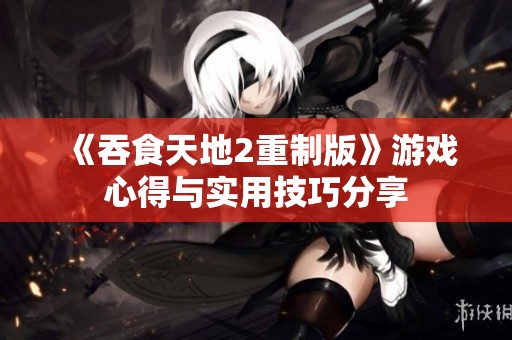 《吞食天地2重制版》游戏心得与实用技巧分享