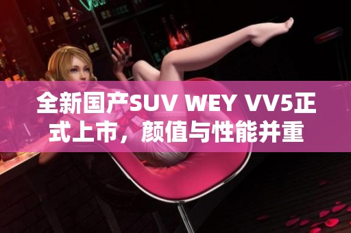 全新国产SUV WEY VV5正式上市，颜值与性能并重