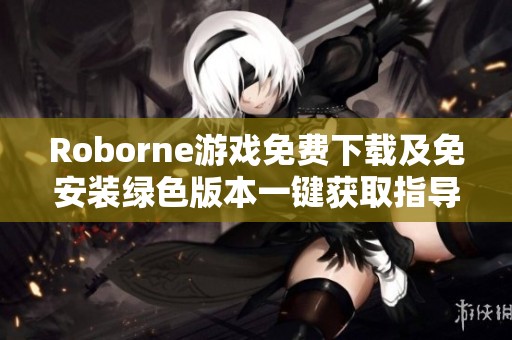 Roborne游戏免费下载及免安装绿色版本一键获取指导