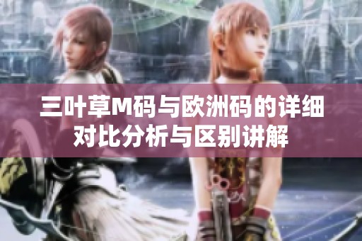 三叶草M码与欧洲码的详细对比分析与区别讲解