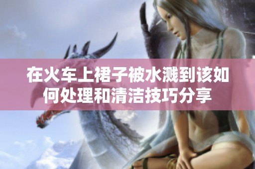 在火车上裙子被水溅到该如何处理和清洁技巧分享