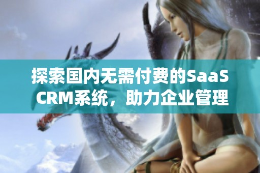 探索国内无需付费的SaaS CRM系统，助力企业管理提升效率