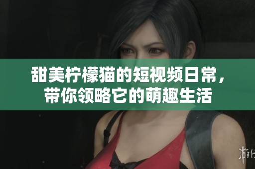 甜美柠檬猫的短视频日常，带你领略它的萌趣生活
