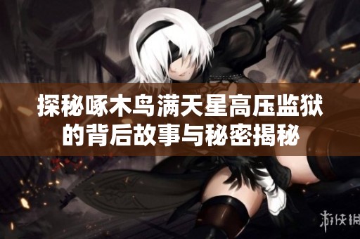 探秘啄木鸟满天星高压监狱的背后故事与秘密揭秘