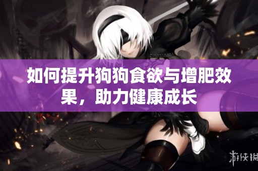 如何提升狗狗食欲与增肥效果，助力健康成长