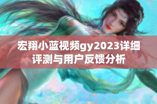 宏翔小蓝视频gy2023详细评测与用户反馈分析
