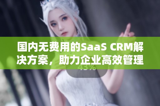 国内无费用的SaaS CRM解决方案，助力企业高效管理客户关系
