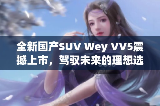 全新国产SUV Wey VV5震撼上市，驾驭未来的理想选择