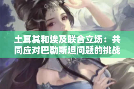 土耳其和埃及联合立场：共同应对巴勒斯坦问题的挑战与机遇
