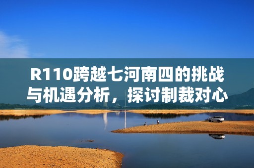 R110跨越七河南四的挑战与机遇分析，探讨制裁对心悦的二次影响