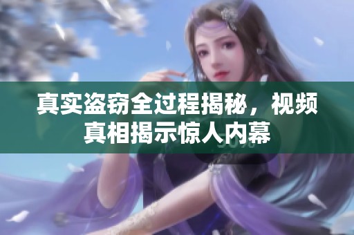 真实盗窃全过程揭秘，视频真相揭示惊人内幕