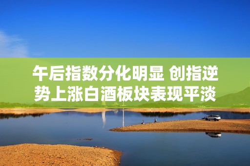 午后指数分化明显 创指逆势上涨白酒板块表现平淡