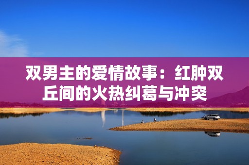 双男主的爱情故事：红肿双丘间的火热纠葛与冲突
