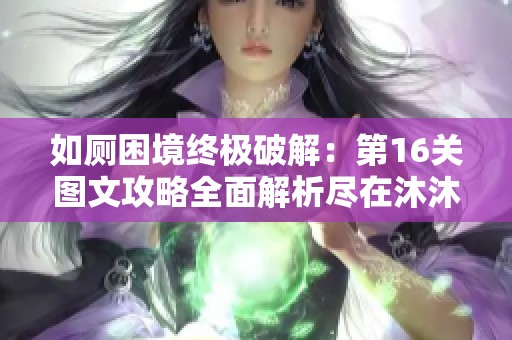 如厕困境终极破解：第16关图文攻略全面解析尽在沐沐手游网