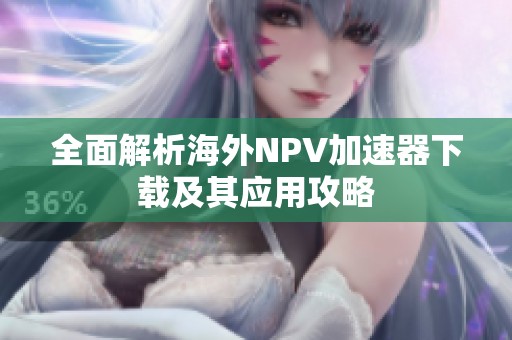 全面解析海外NPV加速器下载及其应用攻略