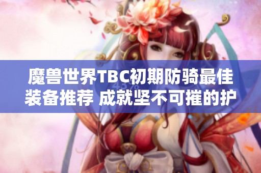 魔兽世界TBC初期防骑最佳装备推荐 成就坚不可摧的护甲效果