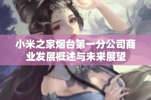 小米之家烟台第一分公司商业发展概述与未来展望
