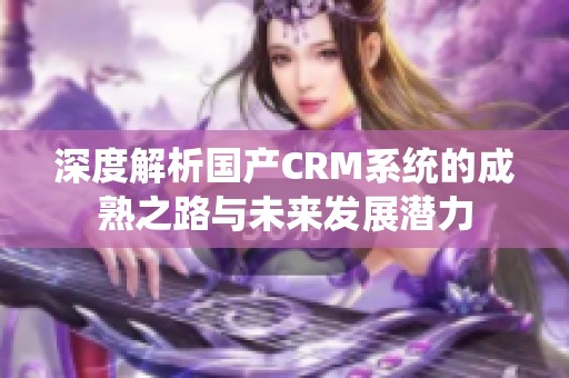 深度解析国产CRM系统的成熟之路与未来发展潜力